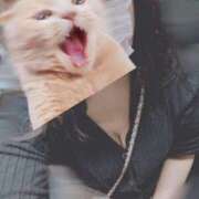 ヒメ日記 2025/11/22 19:10 投稿 さおり VIVIDCREWマダムセカンドバージン 梅田店