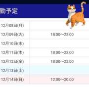 ヒメ日記 2025/12/08 12:15 投稿 さおり VIVIDCREWマダムセカンドバージン 梅田店