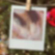 ヒメ日記 2025/12/11 21:47 投稿 さおり VIVIDCREWマダムセカンドバージン 梅田店