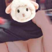 ヒメ日記 2026/02/19 10:20 投稿 さおり VIVIDCREWマダムセカンドバージン 梅田店