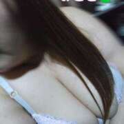 ヒメ日記 2025/03/31 11:16 投稿 みこと 埼玉熊谷ちゃんこ