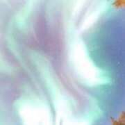 ヒメ日記 2025/01/26 10:31 投稿 はづき 渋谷蘭の会