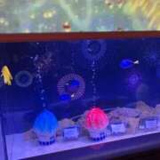 ヒメ日記 2025/09/11 21:15 投稿 はづき 渋谷蘭の会