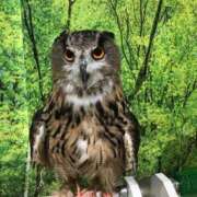 ヒメ日記 2025/10/28 03:35 投稿 はづき 渋谷蘭の会