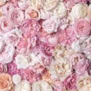 みりあ みりあ（エコ日本橋店） スピードエコ日本橋店