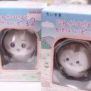 ヒメ日記 2025/02/26 12:15 投稿 もこ 制服向上委員会