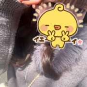 ヒメ日記 2025/04/09 00:01 投稿 もこ 制服向上委員会