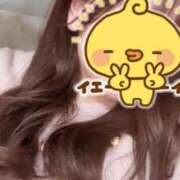 ヒメ日記 2025/04/15 19:06 投稿 もこ 制服向上委員会