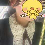 ヒメ日記 2025/07/19 12:24 投稿 もこ 制服向上委員会