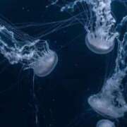 ヒメ日記 2025/02/28 14:11 投稿 ラナ★業界未経験 人妻生レンタル