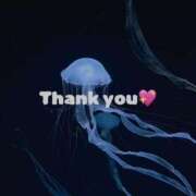 ヒメ日記 2025/03/09 23:50 投稿 ラナ★業界未経験 人妻生レンタル