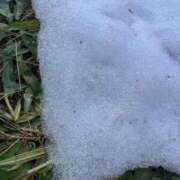 ヒメ日記 2025/01/27 20:27 投稿 雪村のあ コウテイ