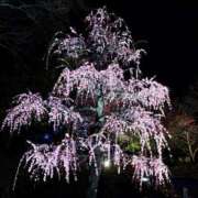 ヒメ日記 2025/03/10 23:27 投稿 雪村のあ コウテイ