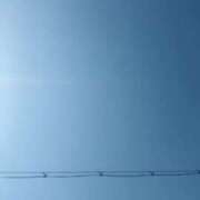 ヒメ日記 2025/03/23 13:05 投稿 雪村のあ コウテイ