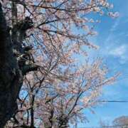 ヒメ日記 2025/04/09 18:18 投稿 雪村のあ コウテイ