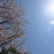 ヒメ日記 2025/04/15 17:21 投稿 雪村のあ コウテイ