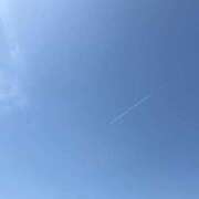 ヒメ日記 2025/04/22 08:15 投稿 雪村のあ コウテイ