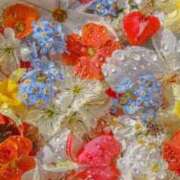 ヒメ日記 2025/10/10 19:55 投稿 雪村のあ コウテイ