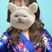 ヒメ日記 2025/02/08 21:34 投稿 まこ いざ候 別館