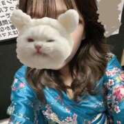 ヒメ日記 2025/02/19 13:14 投稿 まこ いざ候 別館