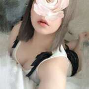 ヒメ日記 2025/06/03 11:16 投稿 るう 新潟市鳥屋野潟ちゃんこ