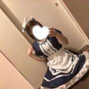 ヒメ日記 2025/11/04 23:26 投稿 るう 新潟市鳥屋野潟ちゃんこ