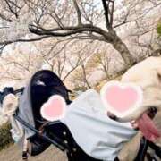 ヒメ日記 2025/04/10 12:05 投稿 もえ 梅田人妻秘密倶楽部