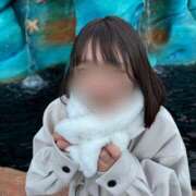 ヒメ日記 2025/01/23 09:17 投稿 はる ラッシュアワー