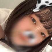 ヒメ日記 2025/03/16 22:52 投稿 はる ラッシュアワー