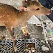 ヒメ日記 2025/07/09 12:42 投稿 はる ラッシュアワー