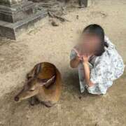 ヒメ日記 2025/08/02 20:43 投稿 はる ラッシュアワー