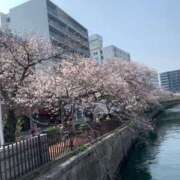 ヒメ日記 2026/03/29 11:18 投稿 はる ラッシュアワー