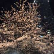 ヒメ日記 2026/06/02 23:03 投稿 はる ラッシュアワー
