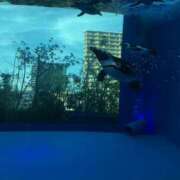 ヒメ日記 2026/07/20 09:38 投稿 はる ラッシュアワー