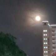 ヒメ日記 2025/07/13 01:07 投稿 葛城むつみ 五十路マダム 博多店