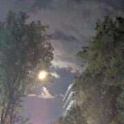 ヒメ日記 2025/08/05 12:27 投稿 葛城むつみ 五十路マダム 博多店