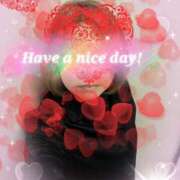 ヒメ日記 2026/01/31 14:13 投稿 葛城むつみ 五十路マダム 博多店