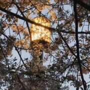 ヒメ日記 2026/04/10 19:57 投稿 葛城むつみ 五十路マダム 博多店