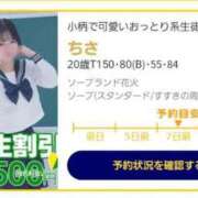 ヒメ日記 2025/04/11 19:48 投稿 ちさ 花火-hanabi-(すすきの)