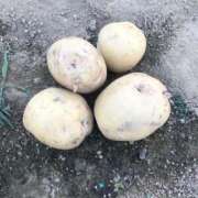 ヒメ日記 2025/06/18 17:53 投稿 るる 西船人妻花壇