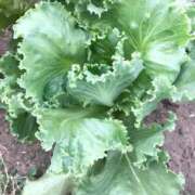 ヒメ日記 2025/07/13 21:50 投稿 るる 西船人妻花壇