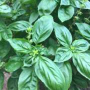 ヒメ日記 2025/09/21 18:15 投稿 るる 西船人妻花壇