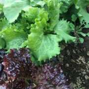 ヒメ日記 2026/01/09 17:42 投稿 るる 西船人妻花壇