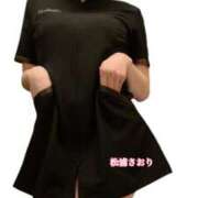 ヒメ日記 2025/03/31 20:14 投稿 松浦さおり メリッサ東京 品川店