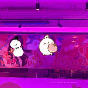 ヒメ日記 2025/03/06 19:52 投稿 ふゆ ∞ (はっち)