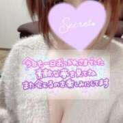 ヒメ日記 2025/01/31 02:16 投稿 ななみ Lolipop（ロリポップ）