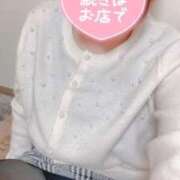 ヒメ日記 2025/02/15 12:16 投稿 ななみ Lolipop（ロリポップ）