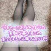 ヒメ日記 2025/02/18 00:56 投稿 ななみ Lolipop（ロリポップ）