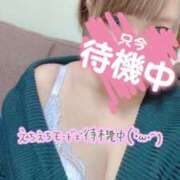 ヒメ日記 2025/03/12 16:16 投稿 ななみ Lolipop（ロリポップ）