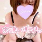 ヒメ日記 2025/04/08 11:06 投稿 ななみ Lolipop（ロリポップ）